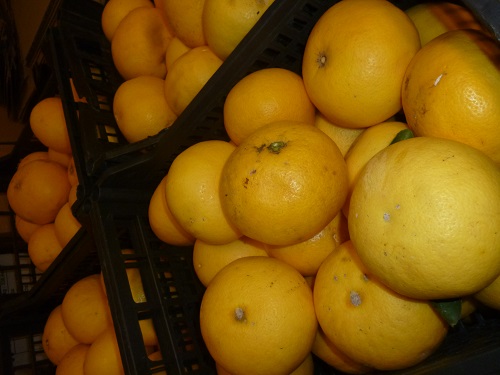 Grapefruit griechische 8kg